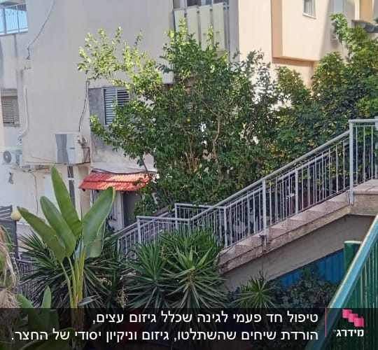 צמחים ועצים ליד בניין עם מדרגות חיצוניות